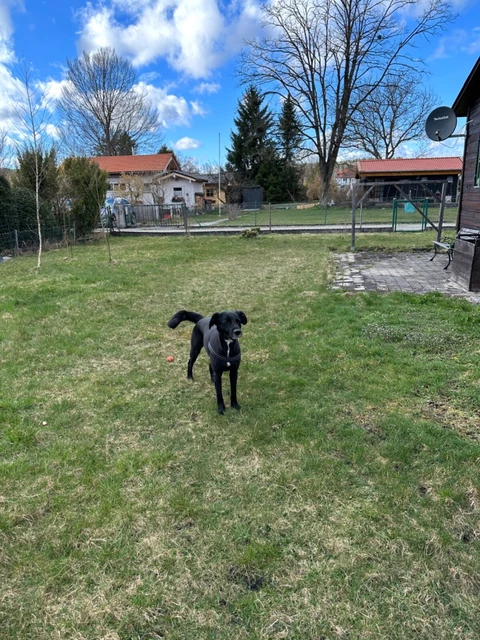Gartenpacht abzugeben