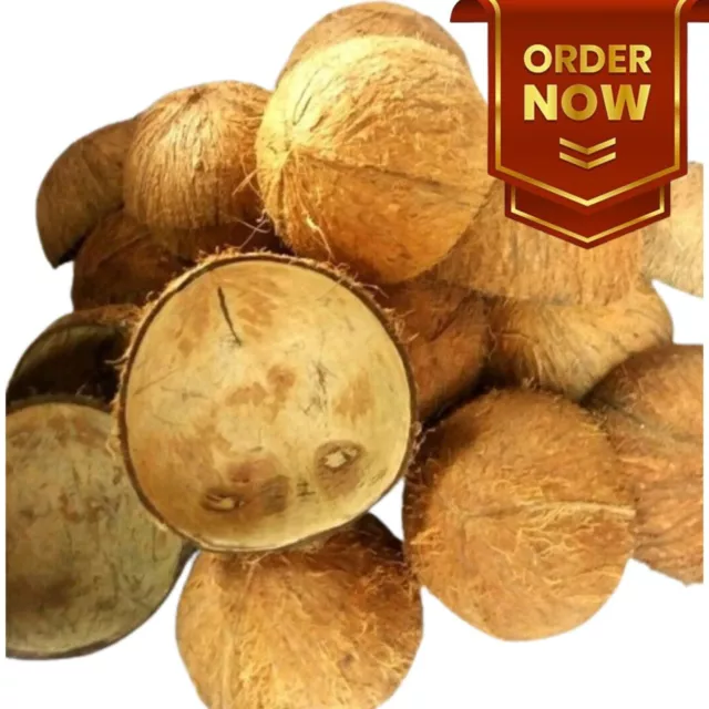 Ceylon Coconut Shell Halves 100% Natural Pure Eco Friendly MEDIUM COCONUT SHELL