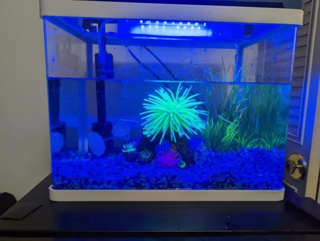 Betta Fish Tank Glass 5 Gallon Self Cleaning Small Aquarium Starter Kits Desktop 11