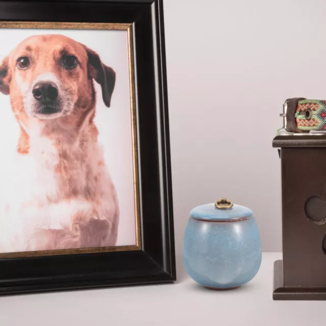 Container for deals dog ashes