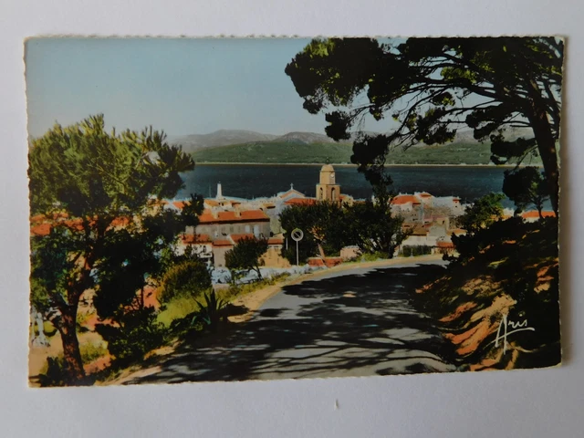 83 Var Carte Postale  Saint-Tropez N°31 Vue Generale