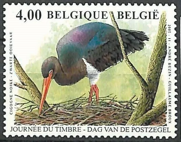 BELGIQUE**CIGOGNE NOIRE(Ciconia nigra)-Oiseaux BUZIN-2005-Birds-VOGEL