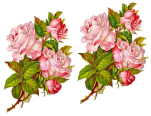 Vintage Image Shabby Pink Rose Flower Floral Bouquet Waterslide Decals FL485