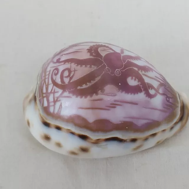 Vintage Hand Carved Cowrie Sea Shell Octopus Ocean Seabed Scene 7.5 cm Long