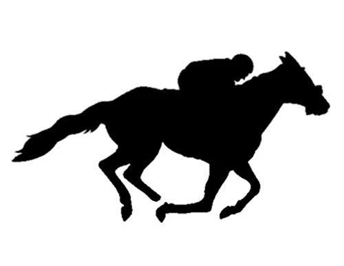 Plantilla resistente reutilizable para carreras de caballos carreras de jinete 11 x 8,5 corte hoja de plantillas