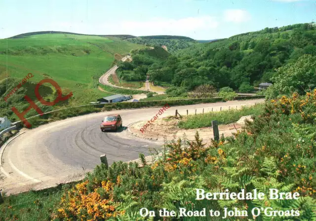 Picture Postcard; Berriedale Brae, on the Road To John O'Groats [Hail Caledonia]