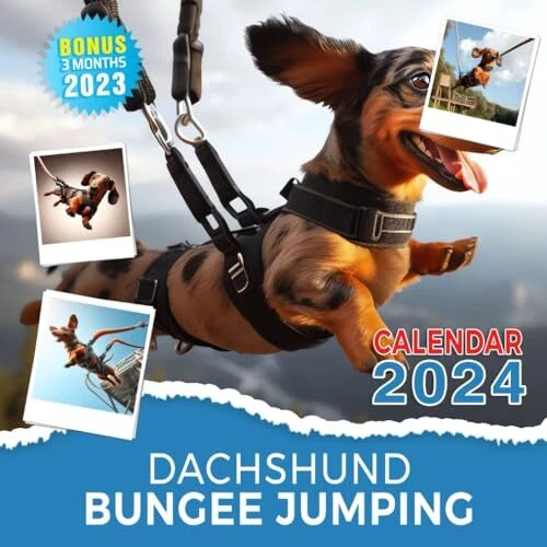 DACHSHUND BUNGEE JUMPING Calendar 2025 Jan 2025 to Dec 2025 Bonus 3