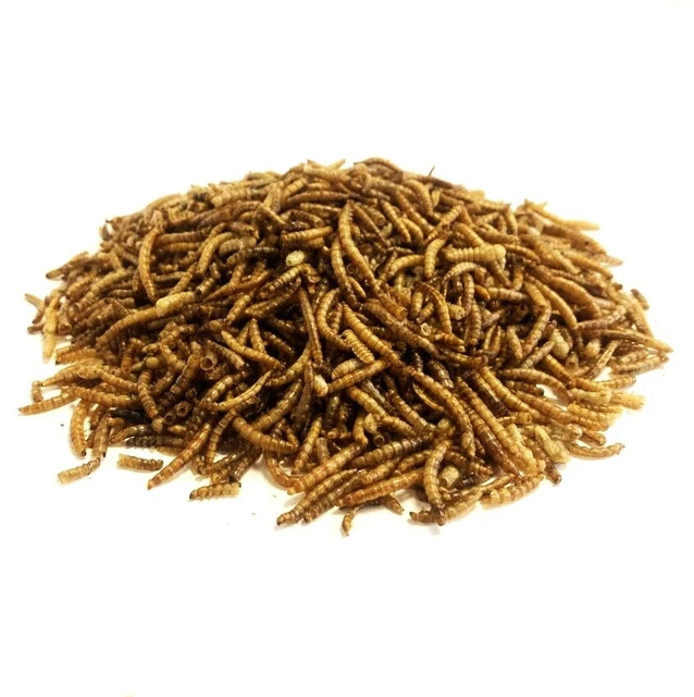 30 LBS Bulk Dried Mealworms Wild Birds Food Chickens Hen Fish Treats Food US NEW