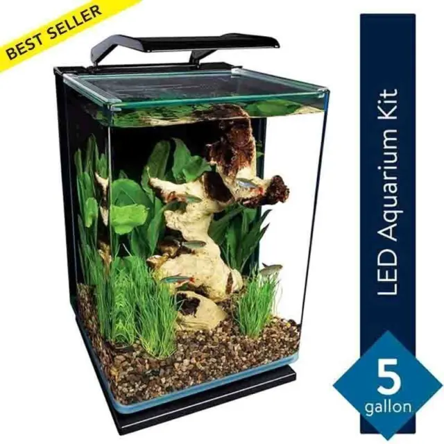 Glass Aquarium Fish Tank Kit 5 Gallon Water Tank LED Light Hidden Filtration NEW