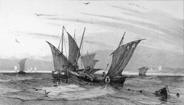 MARINE - PÊCHES à la SARDINE au 19e (GOLFE de GASCOGNE) - Gravure du 19e siècle