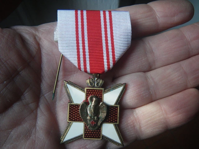 Médaille Commémorative Suisse Croix-Rouge 1989 – Insigne De Collection