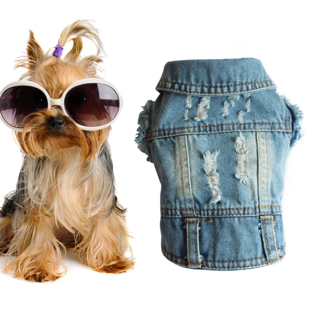 Abbigliamento cane coole cowboy animale domestico cane giacca nuovo gilet denim merce per