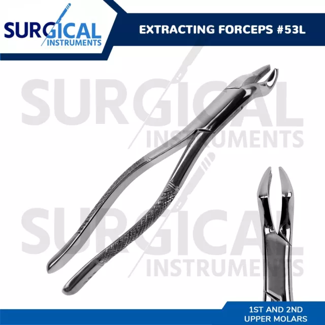 Extracting Forceps #53L Dental Surgical Instruments Stainless German Grade