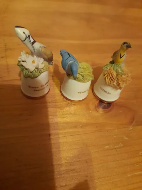 3no Nice China Thimbles Which Depicts Pictures Of Birds And Flowers From America