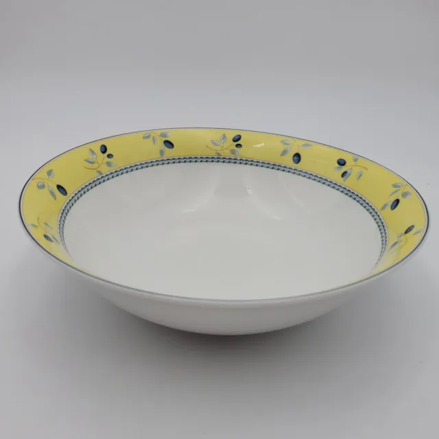 Royal Doulton Blueberry Porcelain 9” Round Vegetable Serving Bowl