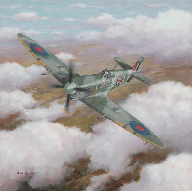 Supermarine Spitfire IX Johnnie Johnson JE-J Aircraft Aviation Art Print