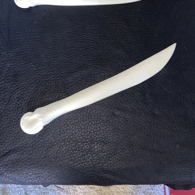 ONE (1) ELk Leg Bone Knife, Handmade, Primitive Weapon, Knife Collector