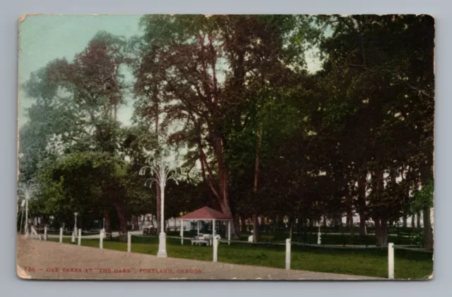 Oak Trees at the Oaks Park Portland Oregon Postcard