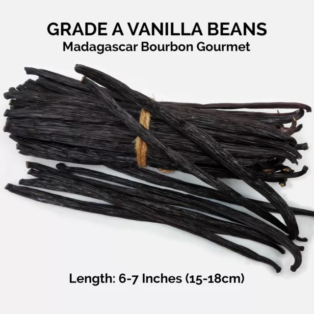 10 Fresh Madagascar Grade A Organic Bourbon Gourmet Vanilla Beans (6-7")