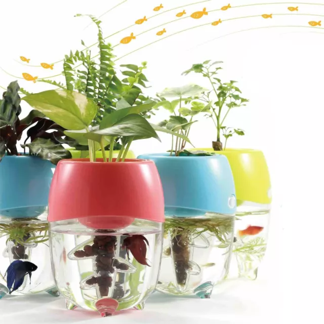 Aquaponic Fish Tank Aquarium for Betta Fish Water Garden Planter Top Lid Natural