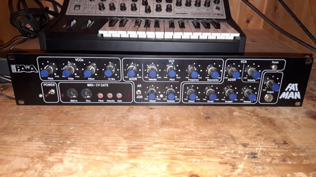 PAIA FATMAN 9308 2U Rack Mounted Analogue Synthesiser VCF VCA VCO Midi ...