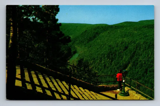 Postcard Lookout at Leonard Harrison State Park Pennsylvania's Grand Canyon Pa