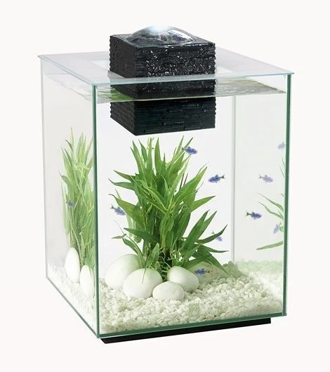 Fluval Chi 19L Aquarium With Led Light Lighting Latest Version Hagen Fish Tank
