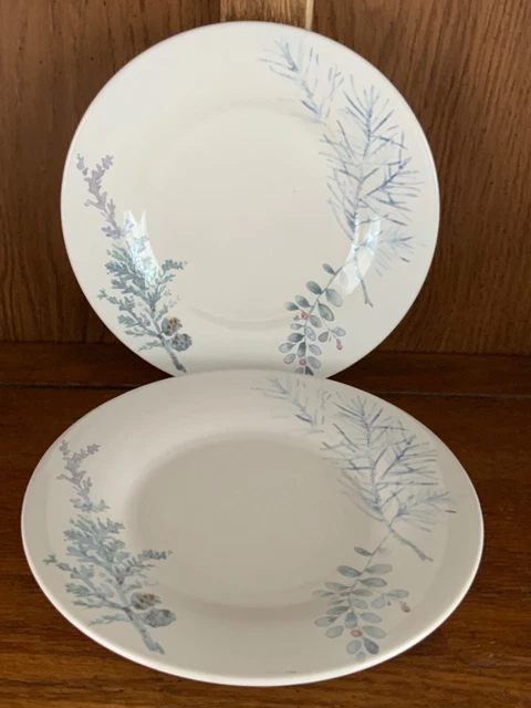 Pfaltzgraff Winter Frost Salad Plates Set of Two 8"
