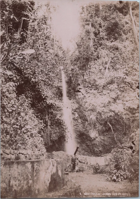 Tirage Vintage Ancien - Martinique, Fort-de-France, La Savane - Circa 1880 - Format 11,5x17,5 Cm