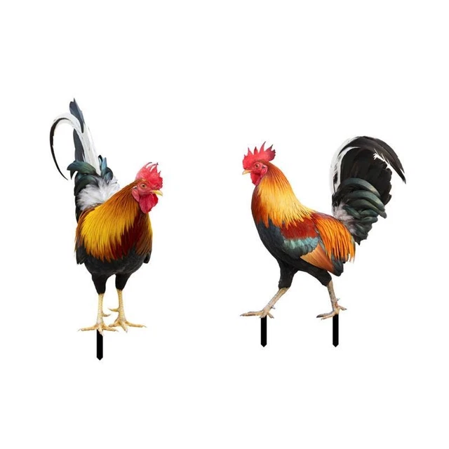2 Pcs  Rooster Chicken Lawn Stakes Yard Art Garden Decorative Stake