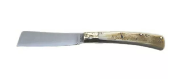 coltello Lametta Scarperia Corno Di Bue Grezzo Conaz Pieghevole Inox Ottone