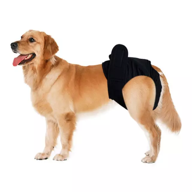 Pets Physiological Pants Female Dog Menstruation Sanitary Shorts (Black M) 2