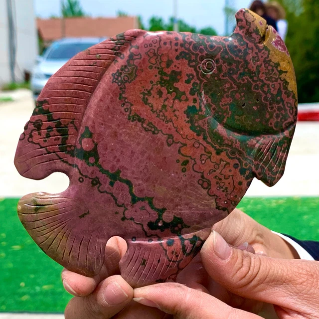 171G Amazing Natural Ocean Jasper Crystal Carved Fish Jasper Halo Stone