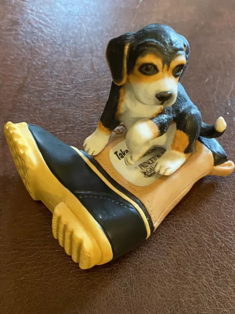 P G take me along beagle dog Boots