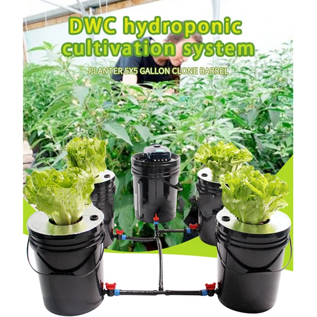 HYDROPONICS GROW SYSTEM Deep Water Culture DWC Hydroponic Kit 5 Gallon