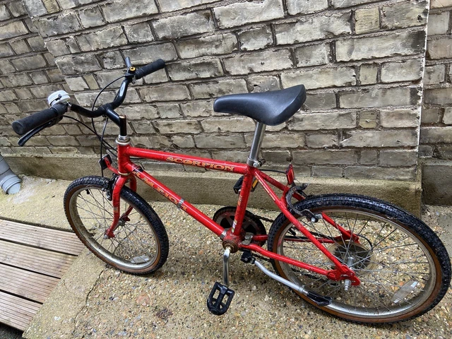 Raleigh scorpion top mountain bike