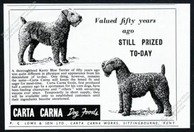 1948 Kerry Blue Terrier 1898 & modern dogs Carta Carna dog food vintage ad