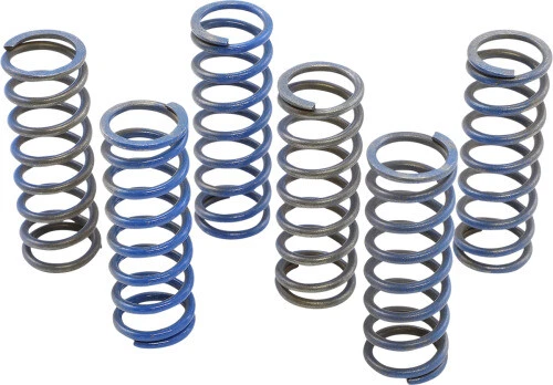 Hinson Racing CS130-6-8602 Hi-Temp Clutch Spring Kit 1131-3662 151-6323