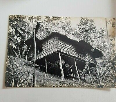 Vintage Original Photograph Sarawak Borneo Dayak Long House picture