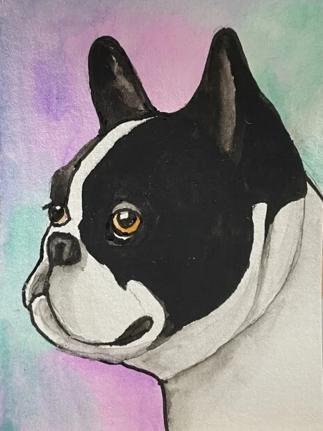 aceo "Boston Terrier " WC Pen & Ink Original Dog Portrait by Dianna Wilson