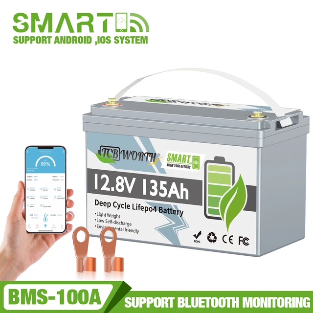 12V 100AH LITHIUM Batterie Bluetooth LiFePO4 Akku BMS Für Wohnmobil Solaranlage EUR 150,10