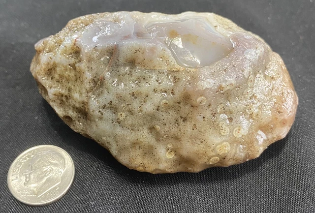 Rare Rough Botswana Agate whole nodule “DIMPLED BALDY”  5.1 Ounces