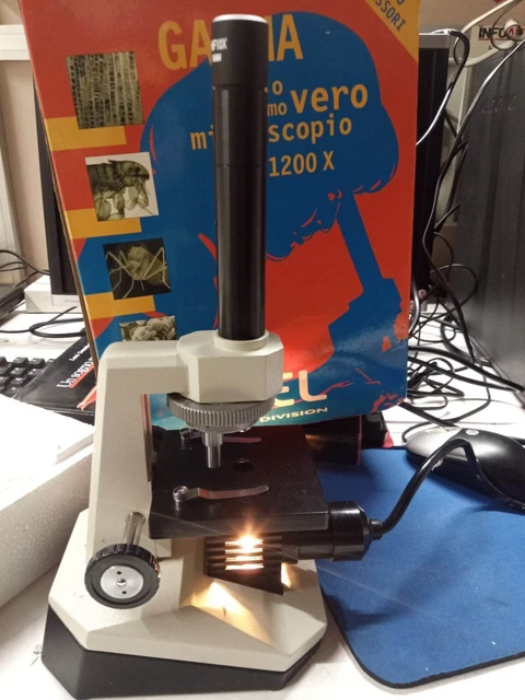 Image of Levenhuk 500T POL microscope at eBay