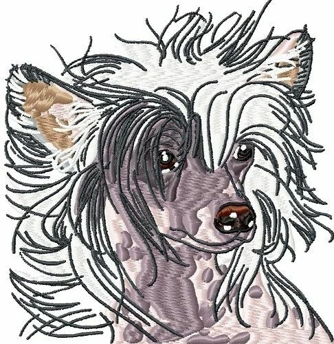 Embroidered Long-Sleeved T-Shirt - Chinese Crested PE169 Sizes S - XXL