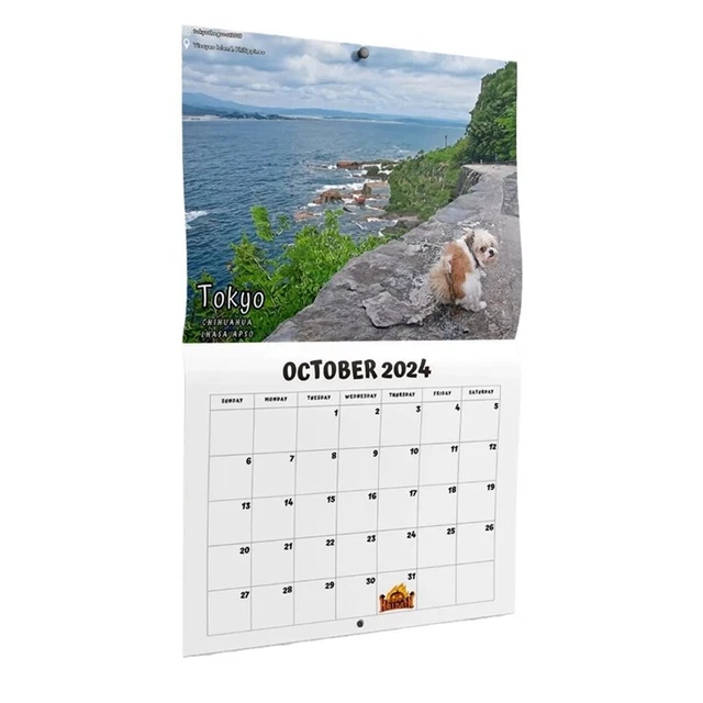 DOG POOPING IN Beautiful Places 2025 Calendar (PreOrder) Funny Wall