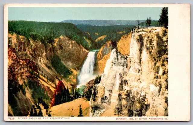 Lower Falls Yellowstone National Park Wyoming Forest Waterfall Mountain Postcard