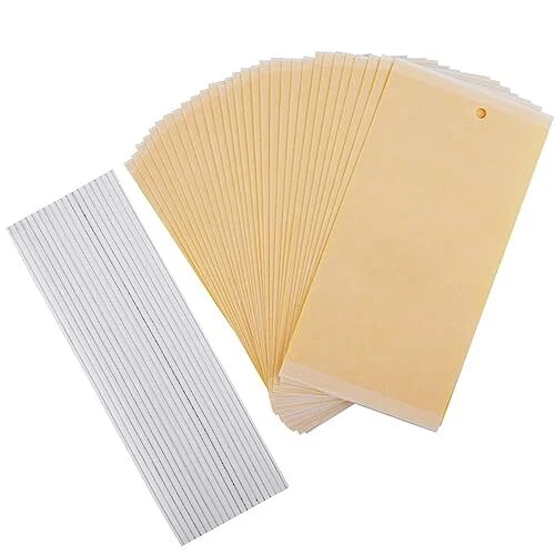 LUTER 30 Pièges Collants Jaunes Doubles pour Insectes Volants tels Que mouche...