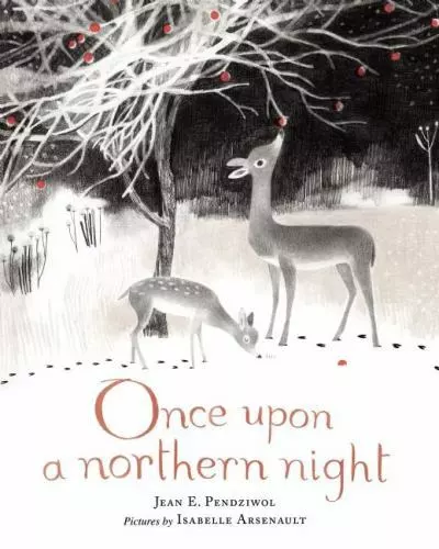 Once Upon a Northern Night by Pendziwol, Jean E.