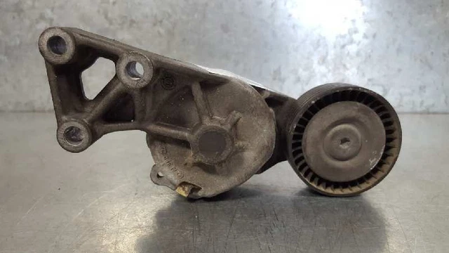 06A115130B galet tendeur pour VOLKSWAGEN SHARAN 1.9 TDI 2000 038903315F 1271421