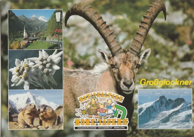 8x alte Postkarten GROSSGLOCKNER 1970-1980 LOT Konvolut AK Ansichtskarten Alpen